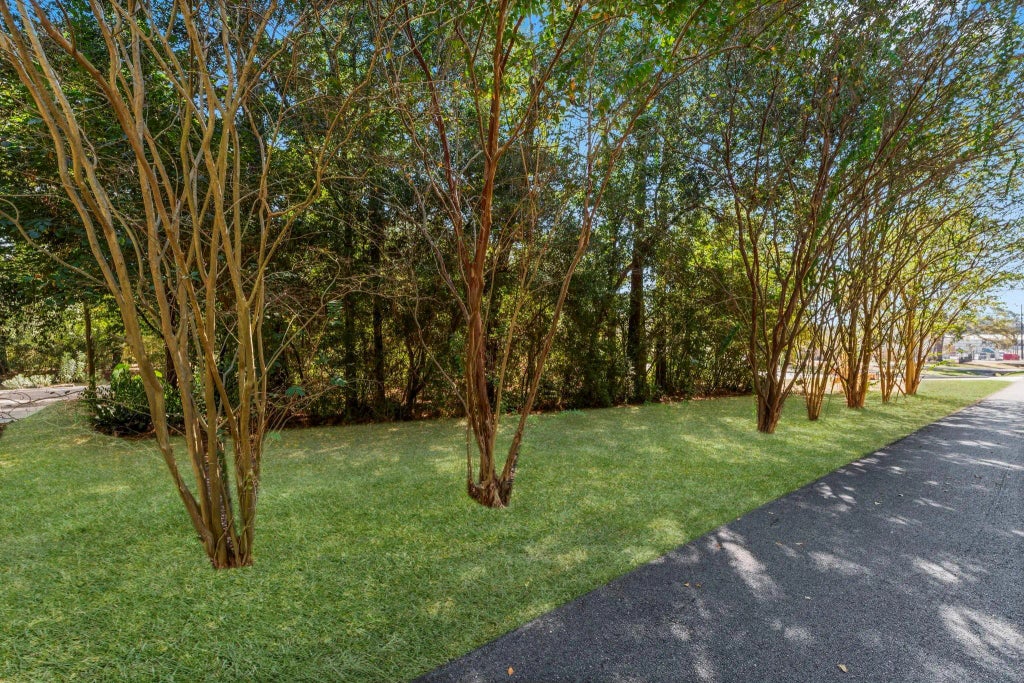 25206 #5 Spring Ridge Drive, Spring