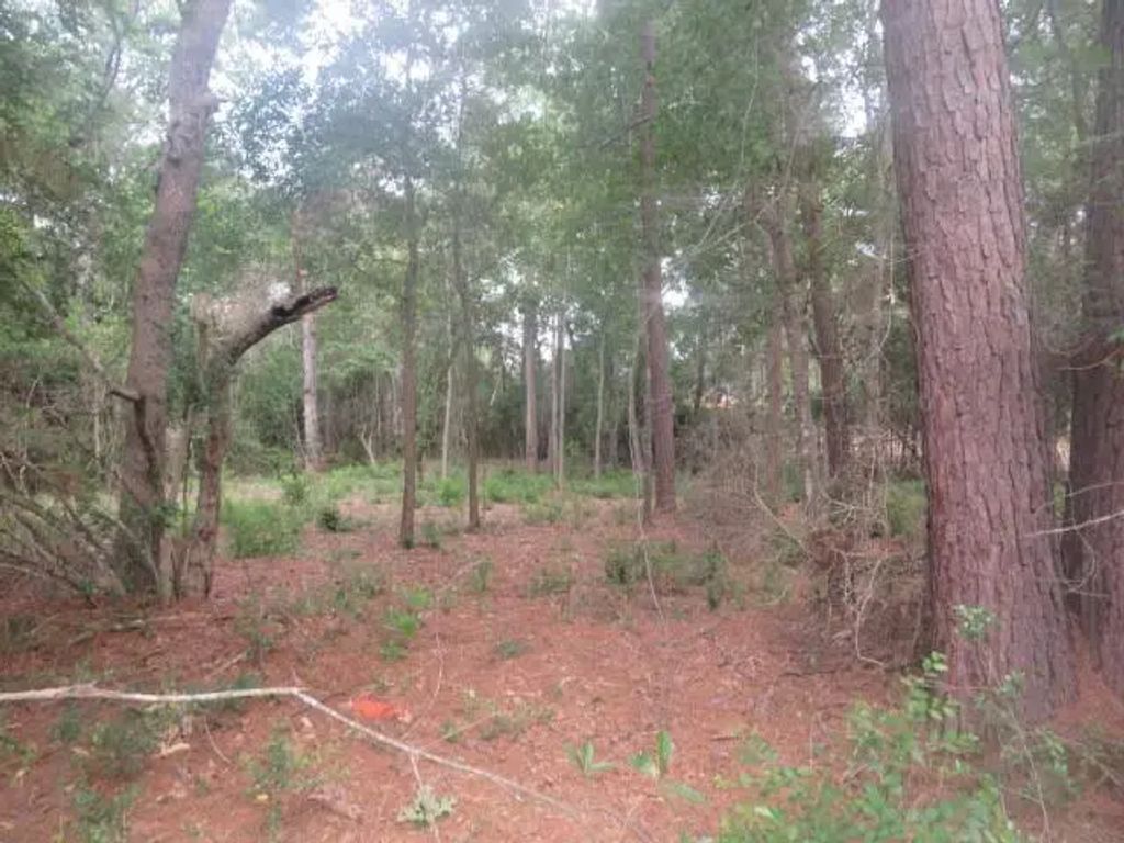 15245 Hillshire Pl, Plantersville