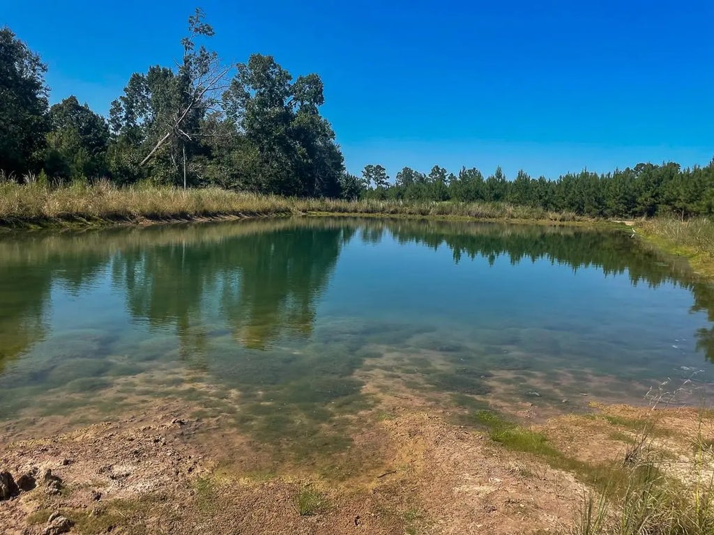 Union Springs Road, Corrigan