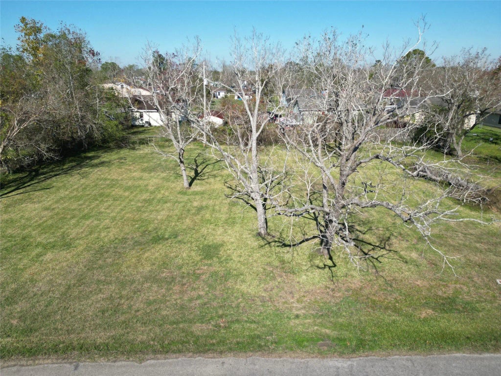 409 Carlton Street, Brazoria