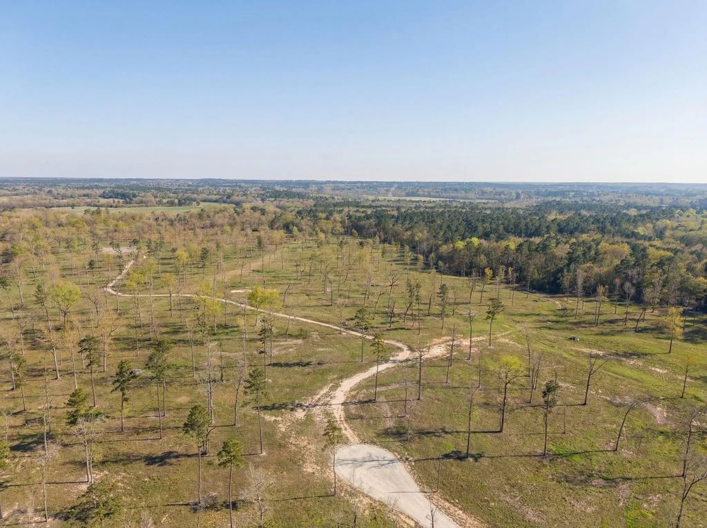 Lot 12 N Fm-350, Livingston