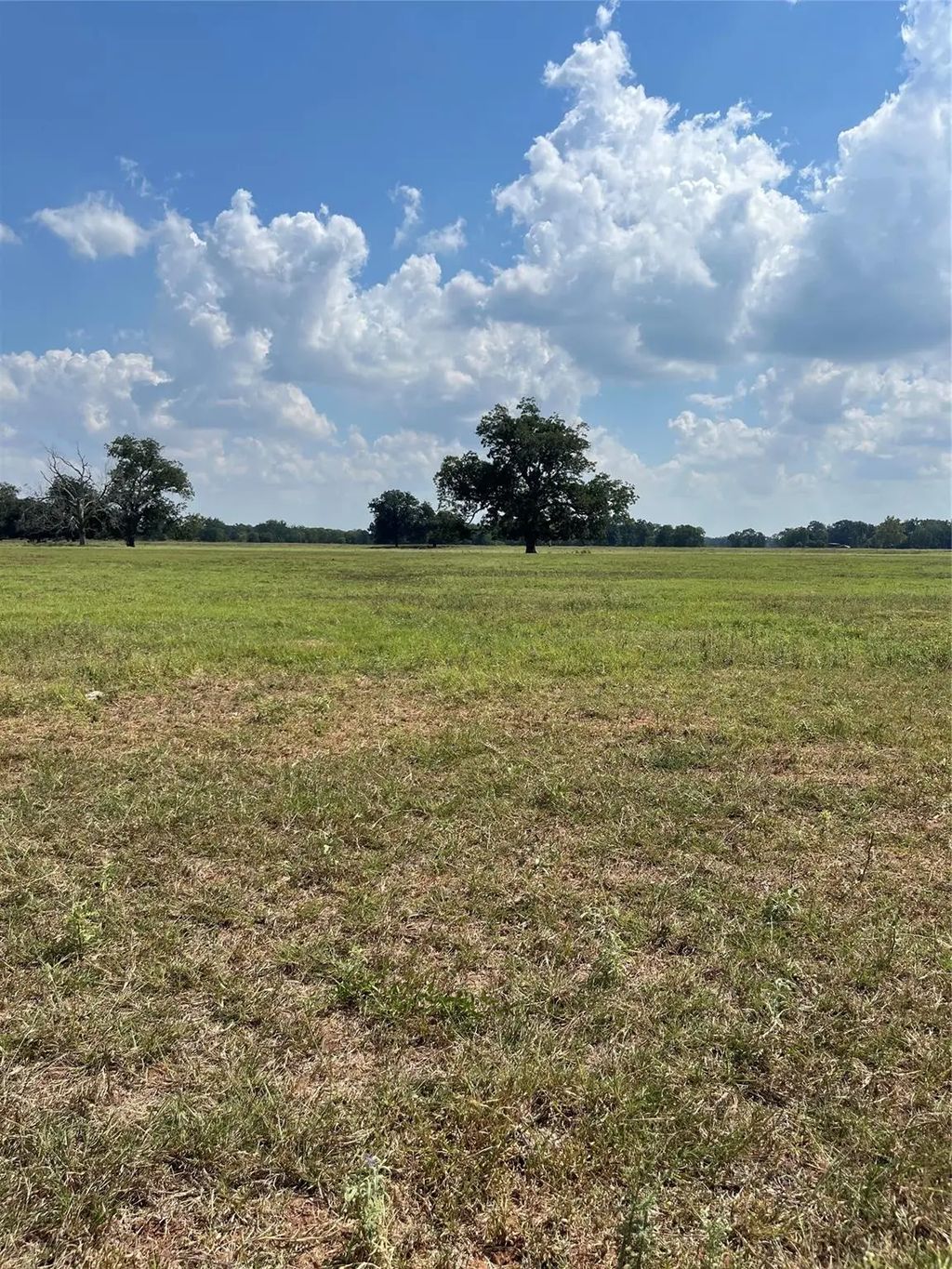 Diemer Road, Brookshire