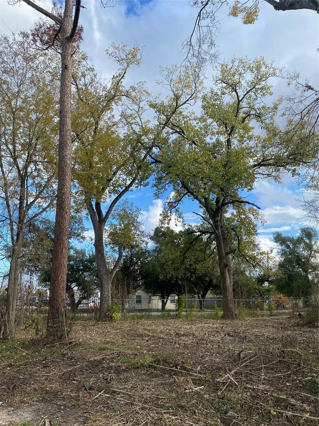 13708 Almeda School Road, Houston