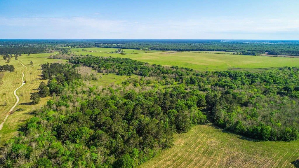 40902 Sh 105, Batson