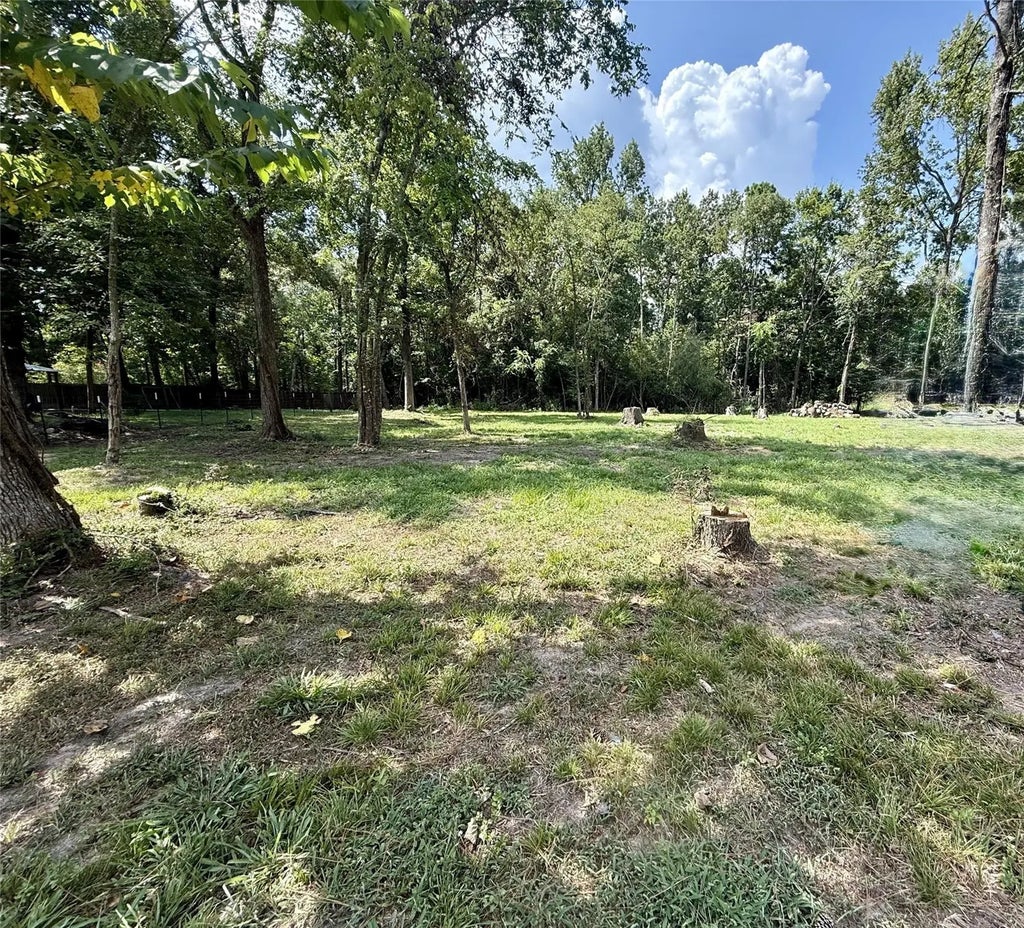 Tbd Buzzard Roost Trail, Trinity