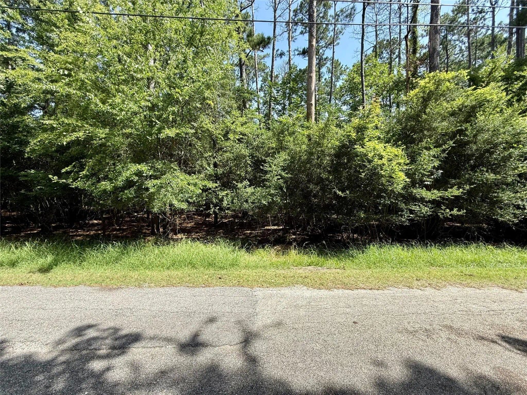 155 W Lake Drive, Houston