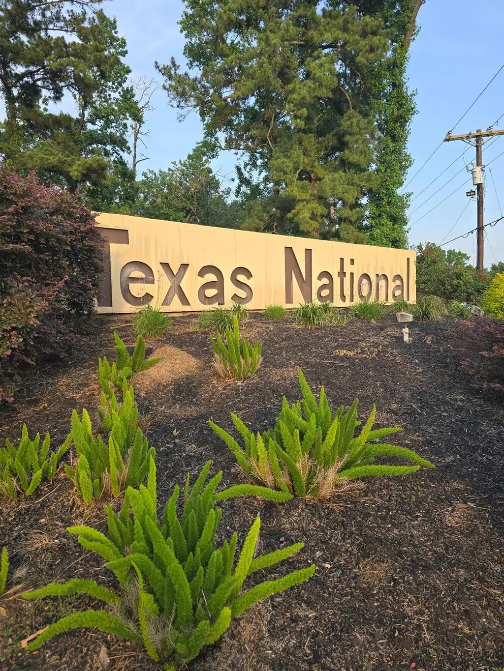 Tbd Lot 111 Texas National, Willis
