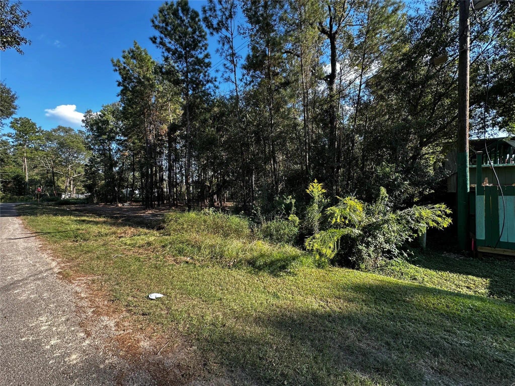 27086 Royal Coach, New Caney