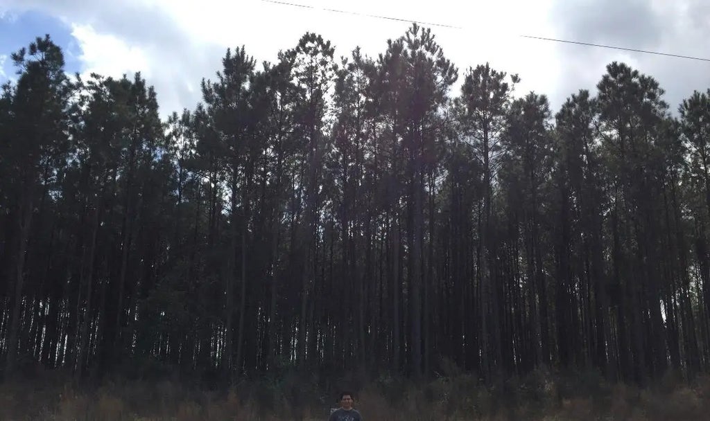 Tbd Road 3545, Cleveland