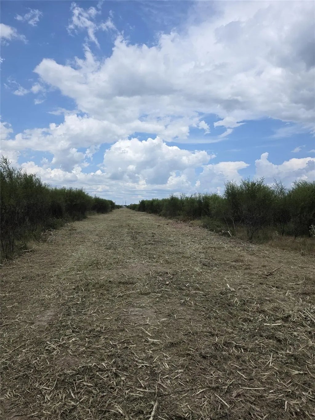 36847 Richard Frey 1-19 Road 19, Hempstead