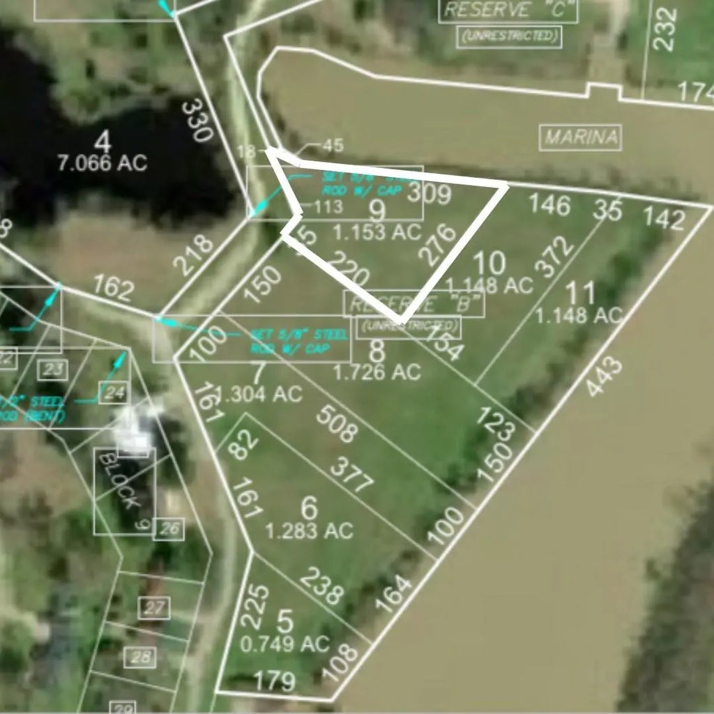 Lot 9 Lake Livingston Lane, Trinity