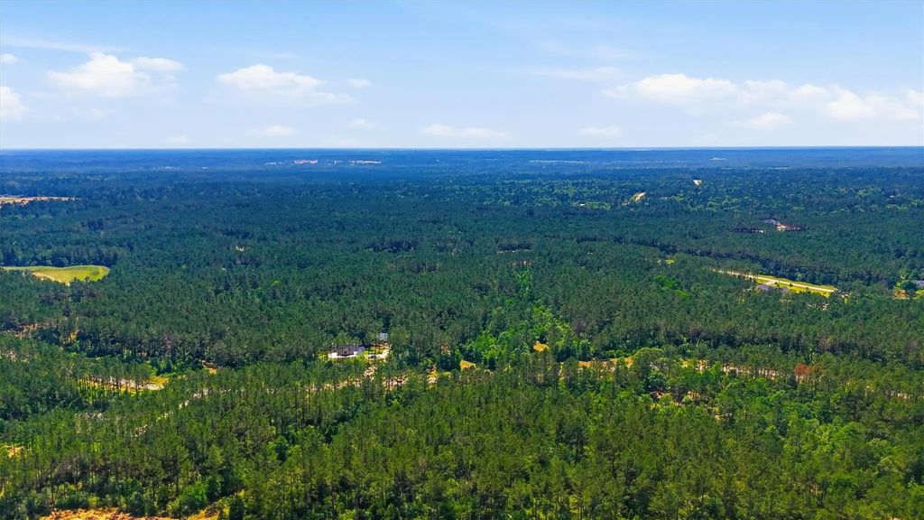 15388 Forest Grove Drive, Willis