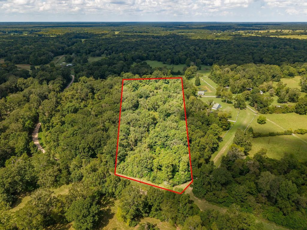 Tbd Winding Creek Drive, Shepherd