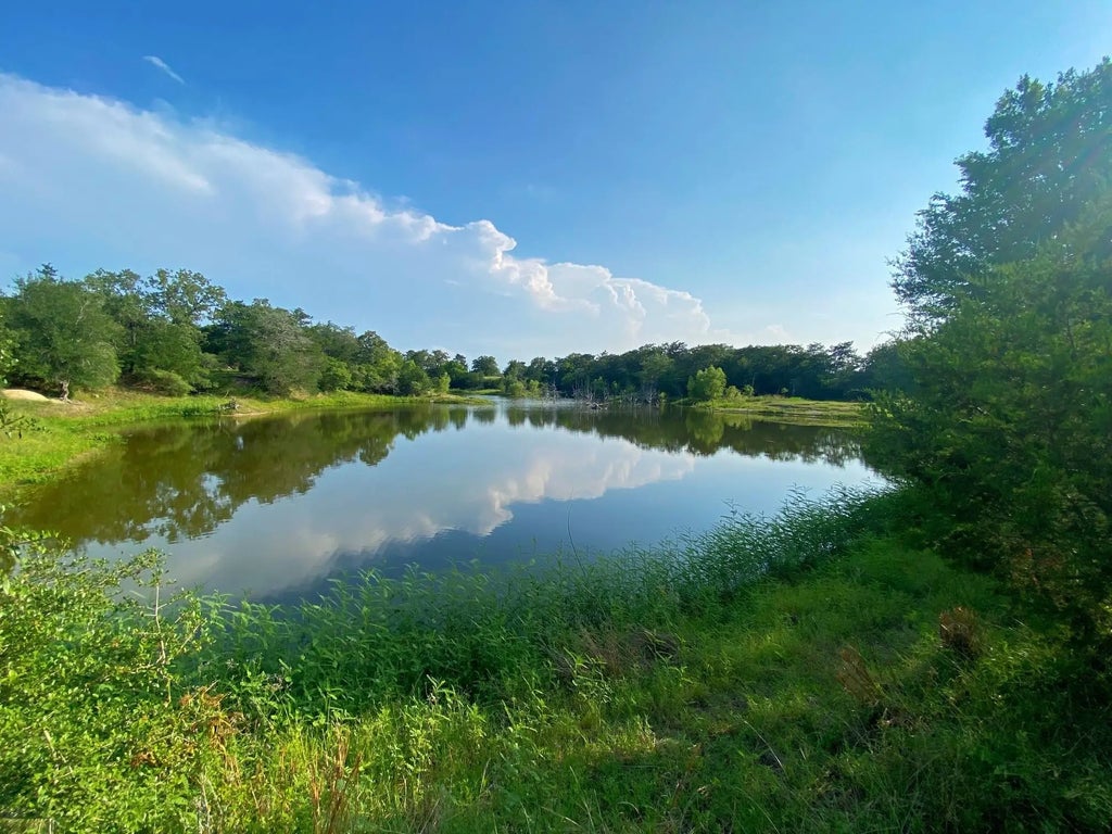 7800 Farm To Market 1948 Road W, Burton