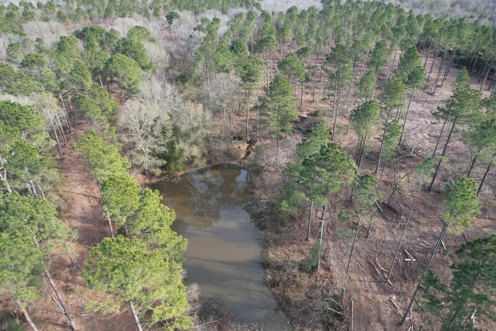 Tract A County Road 4037, Timpson