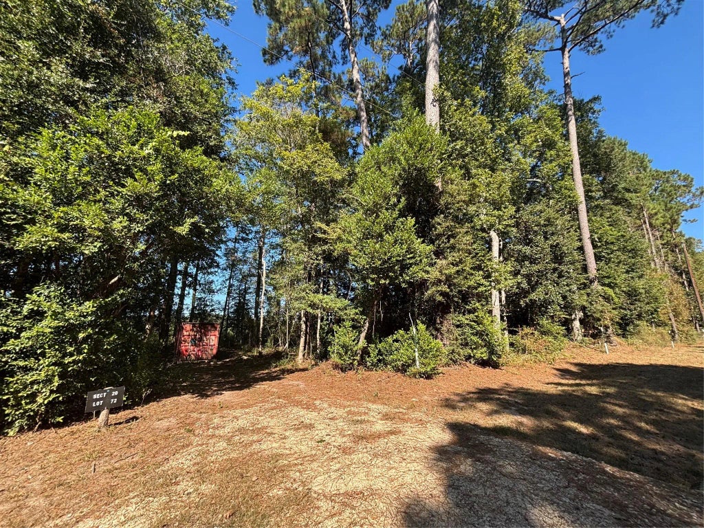 L C Herschap Lane, Livingston