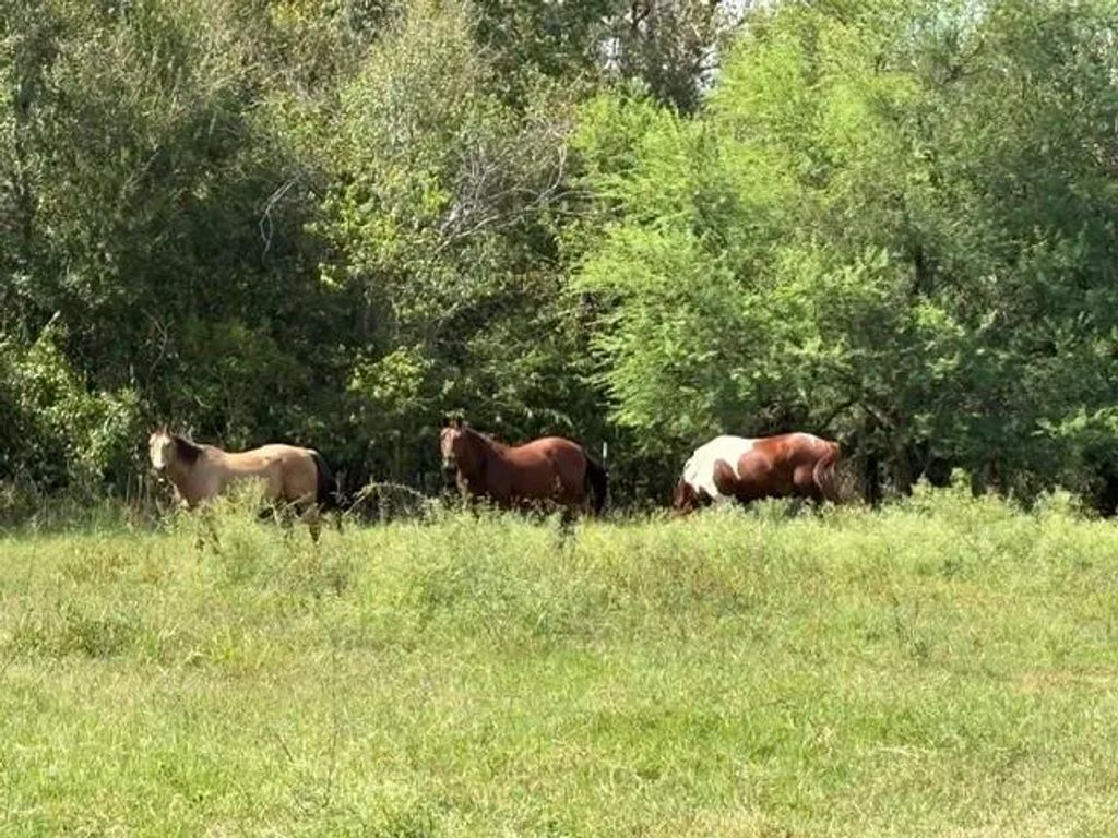 Tbd Donigan Road, Brookshire