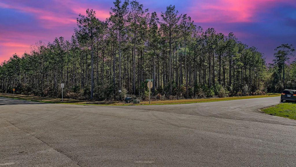 10999 Ruger Road, Willis