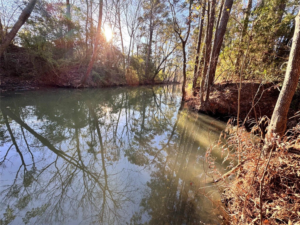 Lot 98 Barbil Lane, Houston