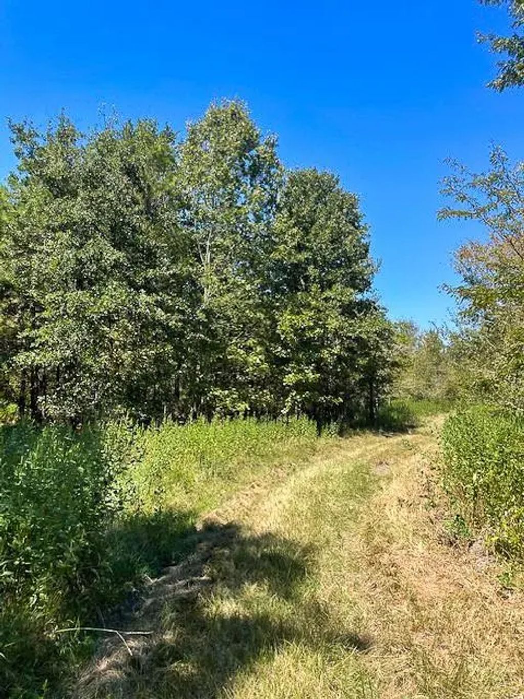 8881 Fm 356, Trinity