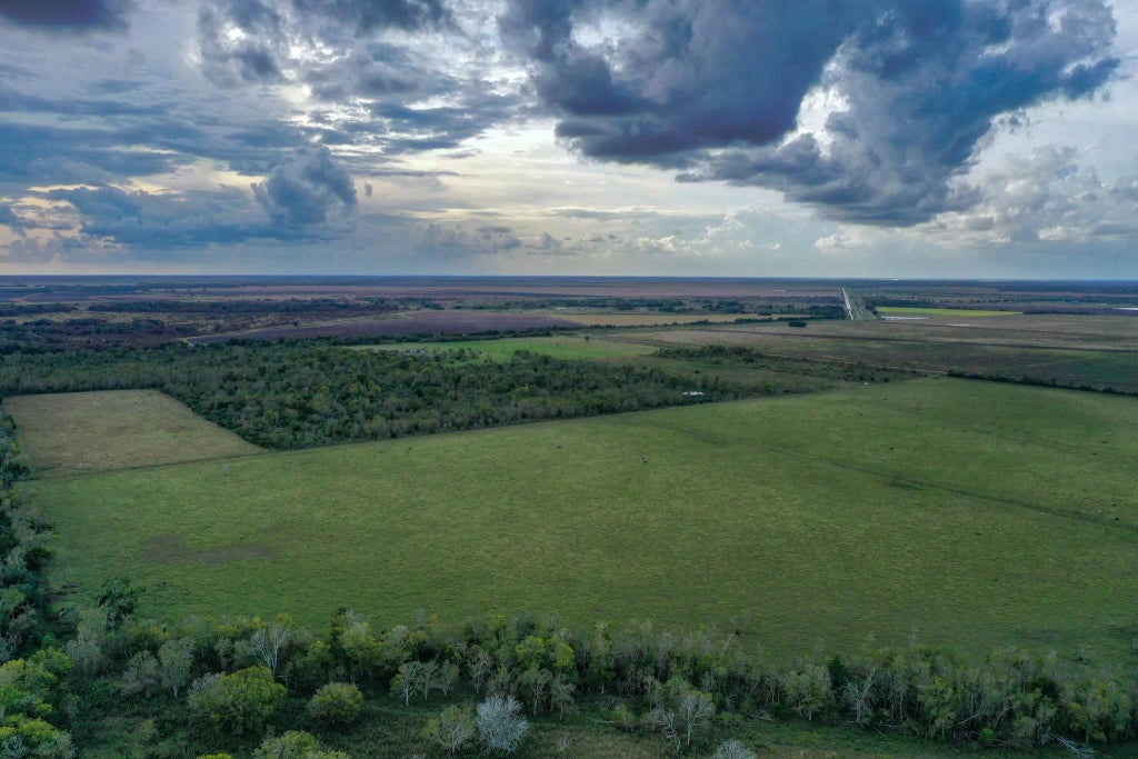 Tbd Boswick, Liverpool