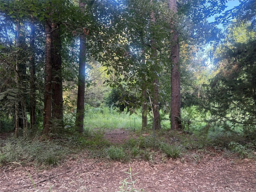 23881 Simpson Lane, Votaw
