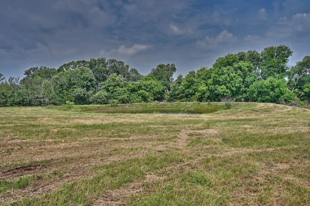 Tbd (14.253 Acres) Lee County Road, Paige