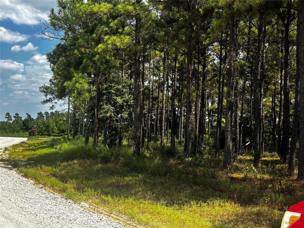 Tbd Trinity Trail, Lovelady