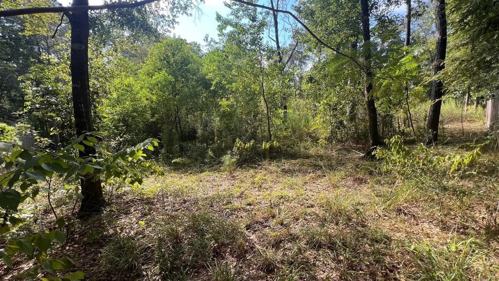 1112 Columbia River Rd, Conroe