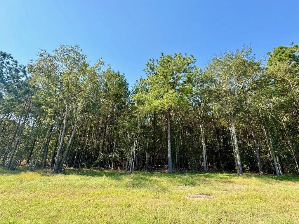 Tbd Stonebrook Drive, Livingston
