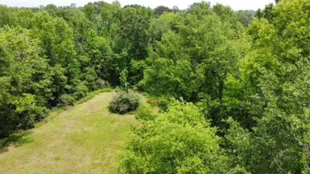 501 Otis Cooper, Kirbyville