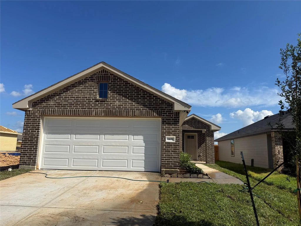 11658 Ruffian, Willis