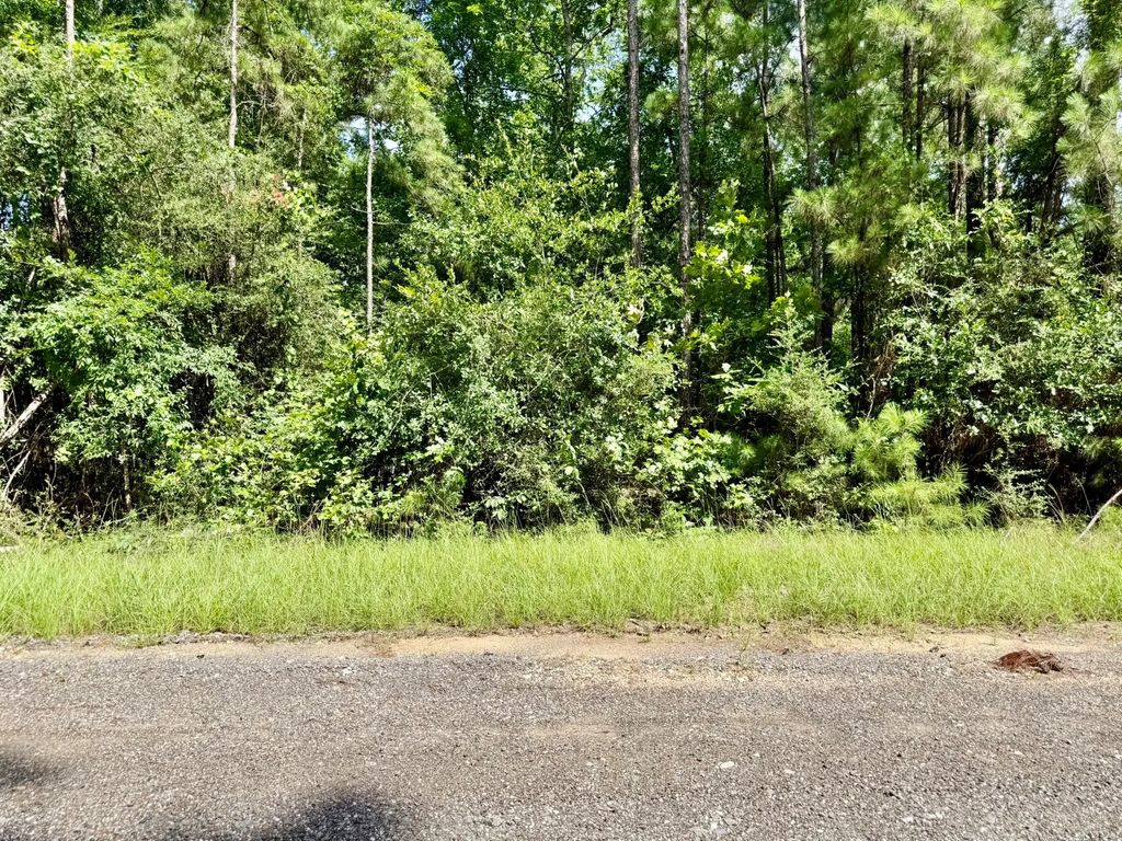 Tbd Spring Creek Drive, Coldspring