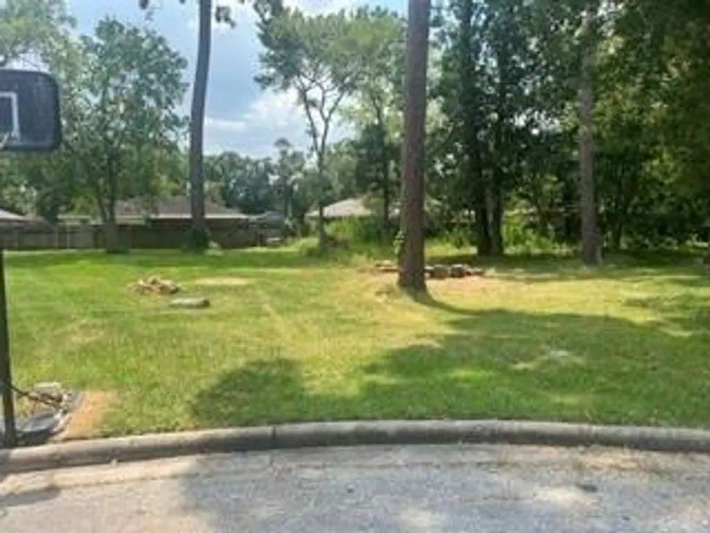 715 Sailfin Court, Crosby