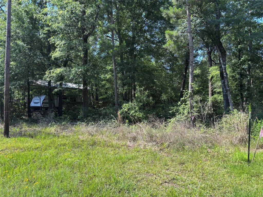 Southland, Livingston