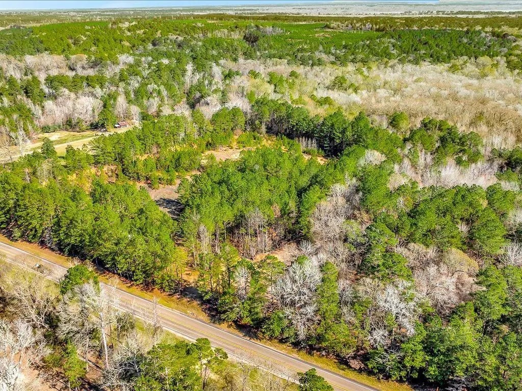 9871 Fm 256 E, Colmesneil