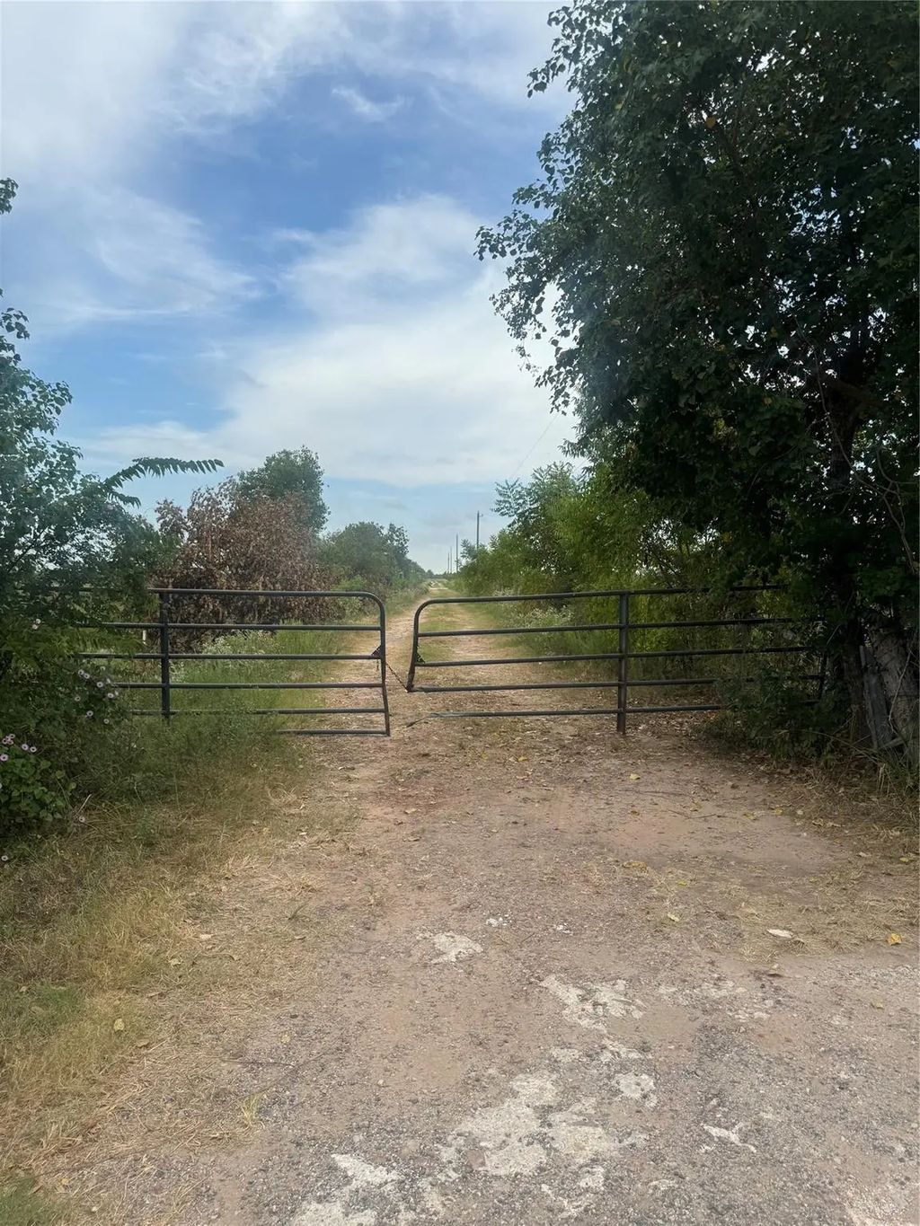 Off Logenbaugh Road, Katy