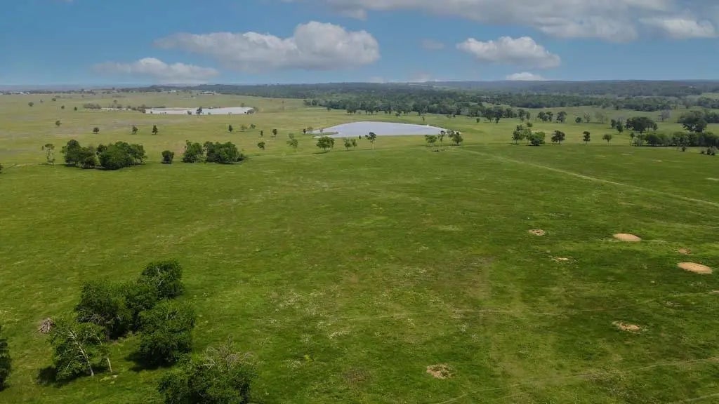 Tract #2 Cr 305 Road, Navasota