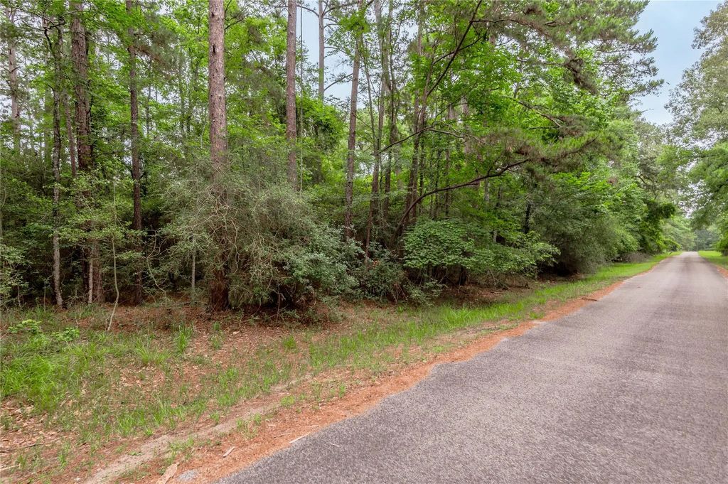 389 Live Oak Drive, Trinity