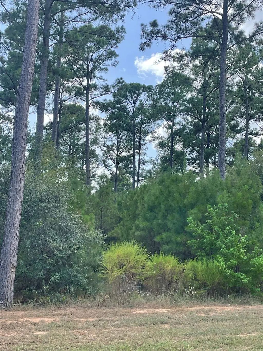 9424 Old Cedars Drive, Plantersville