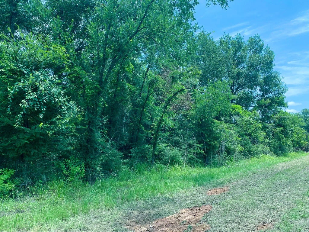 4680 County Road 426, Marquez