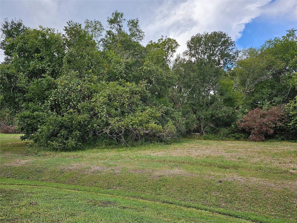 1050 Winchester Trail, Angleton