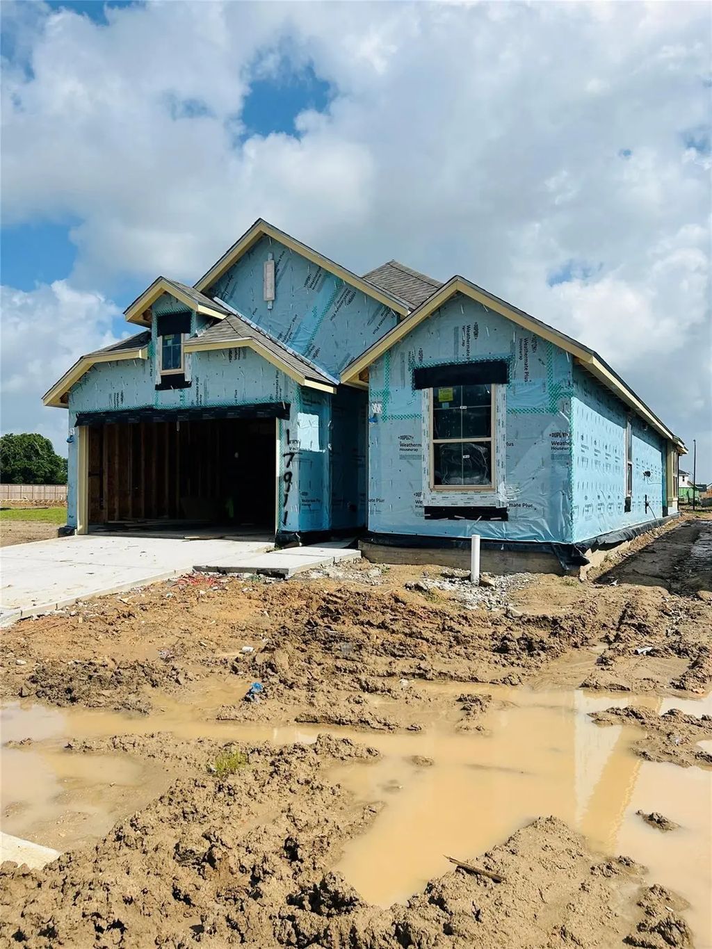 17911 Oakwood Stream Drive, Webster