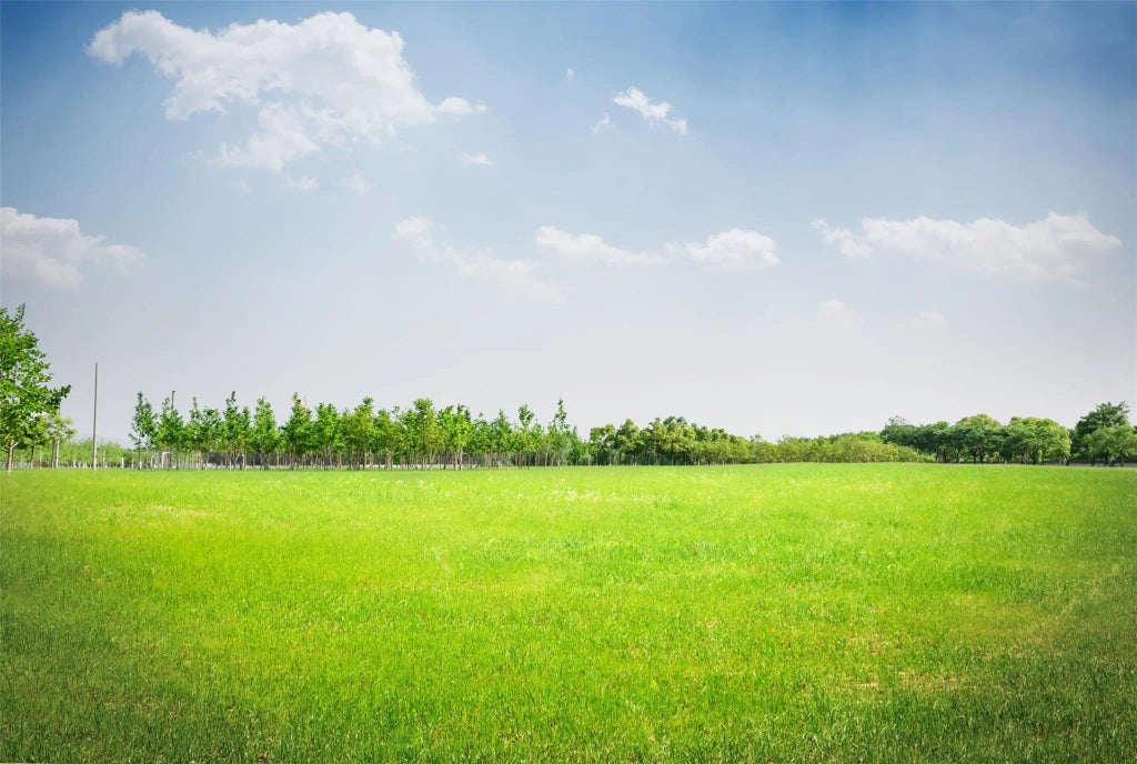 540 Road 5105, Cleveland