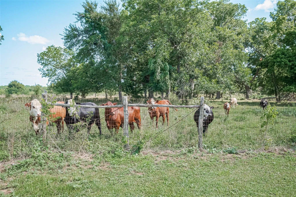 2511 Hartwell Road, Brookshire