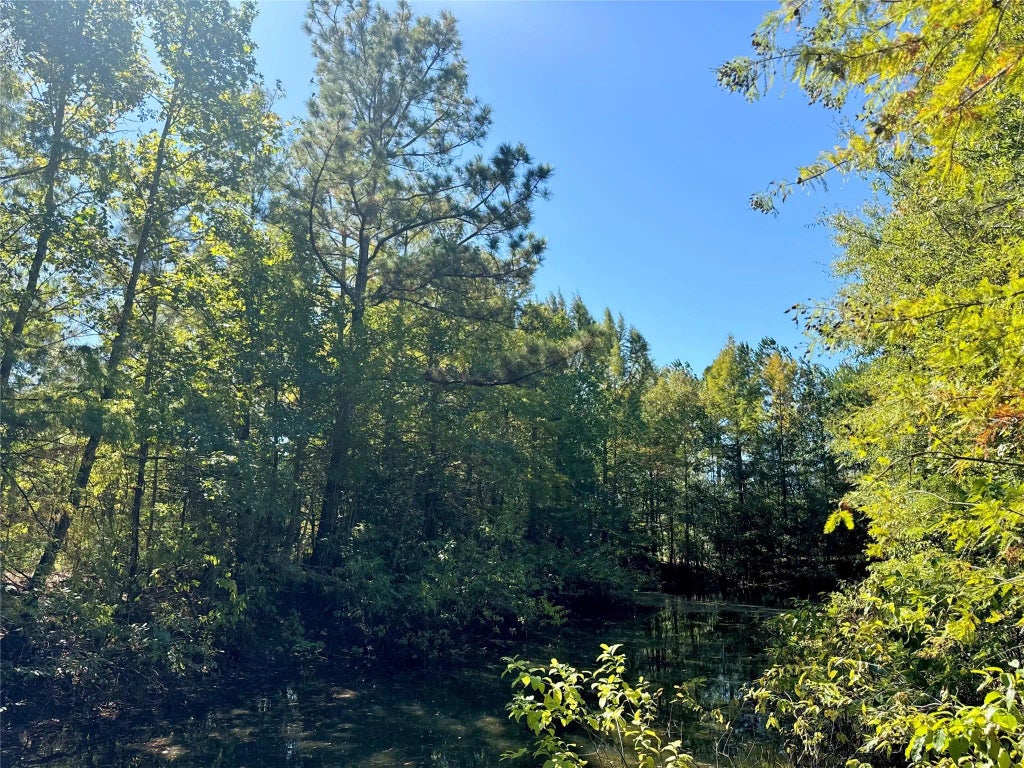 9596 State Highway 146 S, Livingston