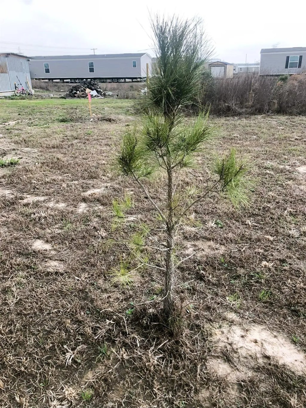 1182 Road 5720, Cleveland