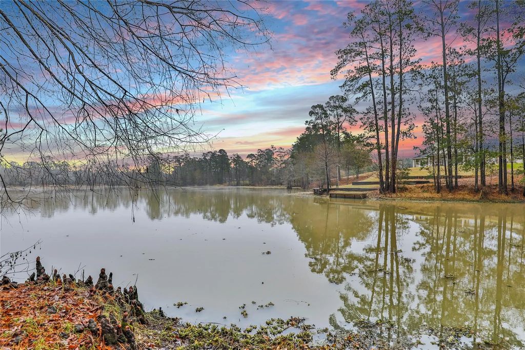 25734 Water Ridge Drive, Houston