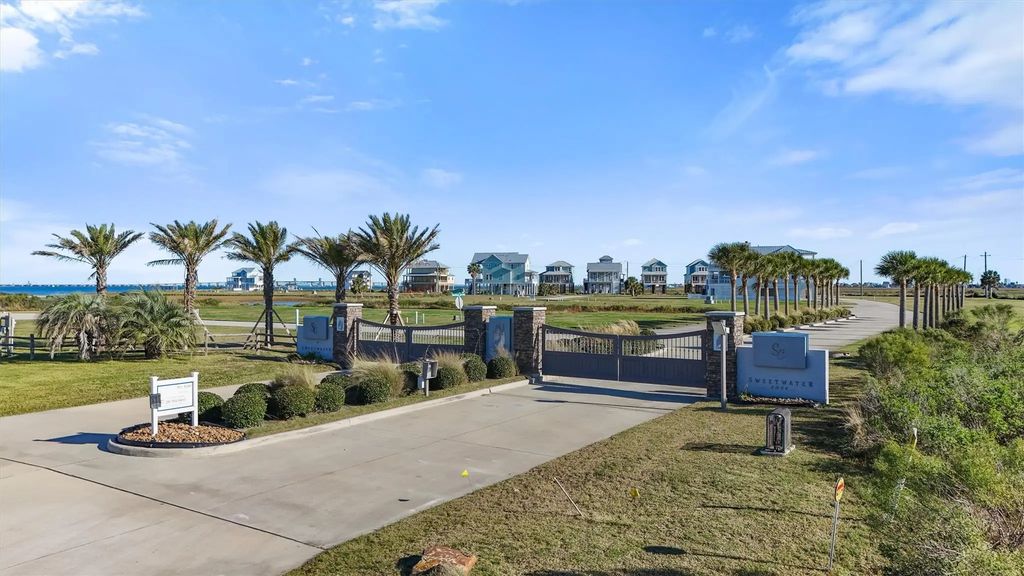 1642 Brown Pelican, Galveston