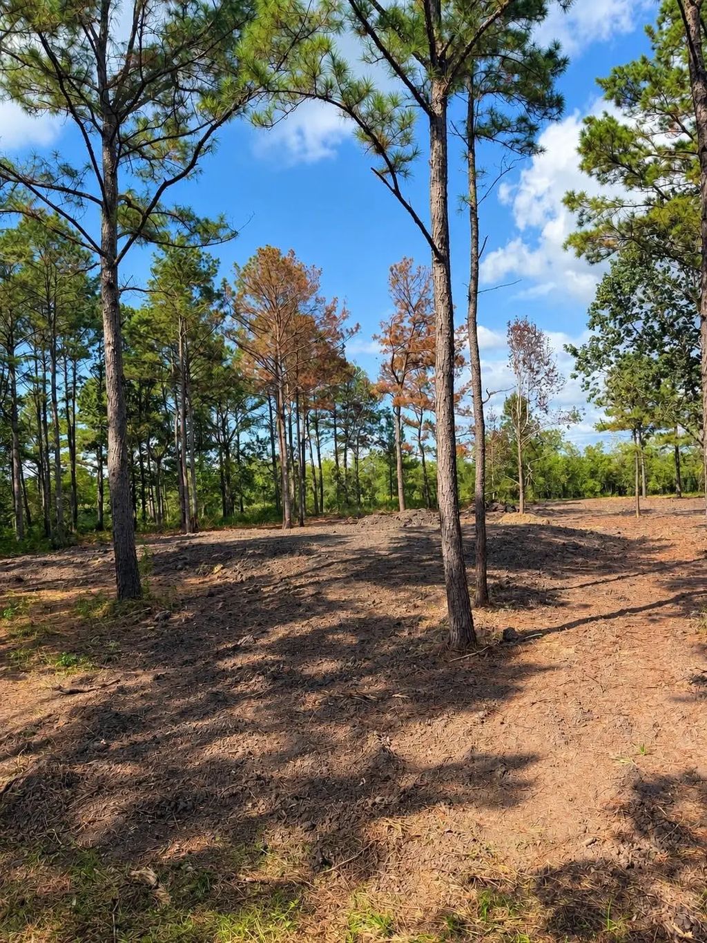 348 Private Road 77004 Road, Liberty